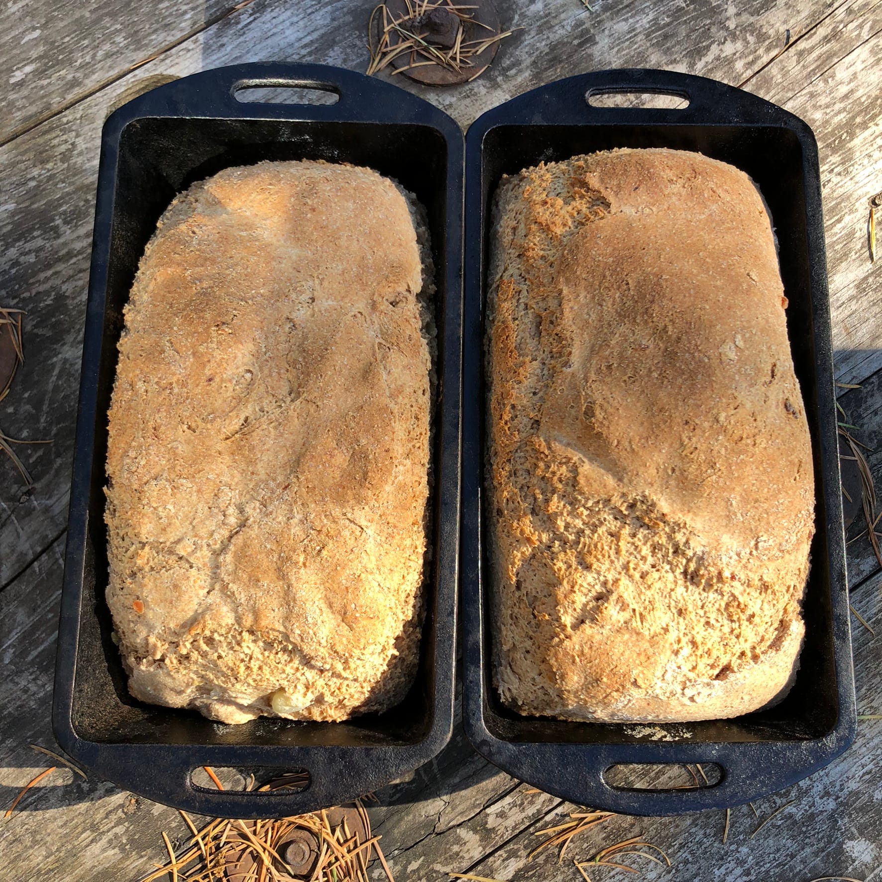 Two baked honey kefir sandwich loaves in loaf pans, finished and golden