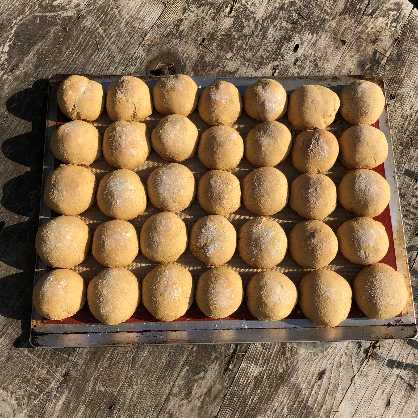 Sweet Potato Kefir Rolls (Ancient Grains, Nut-Free)