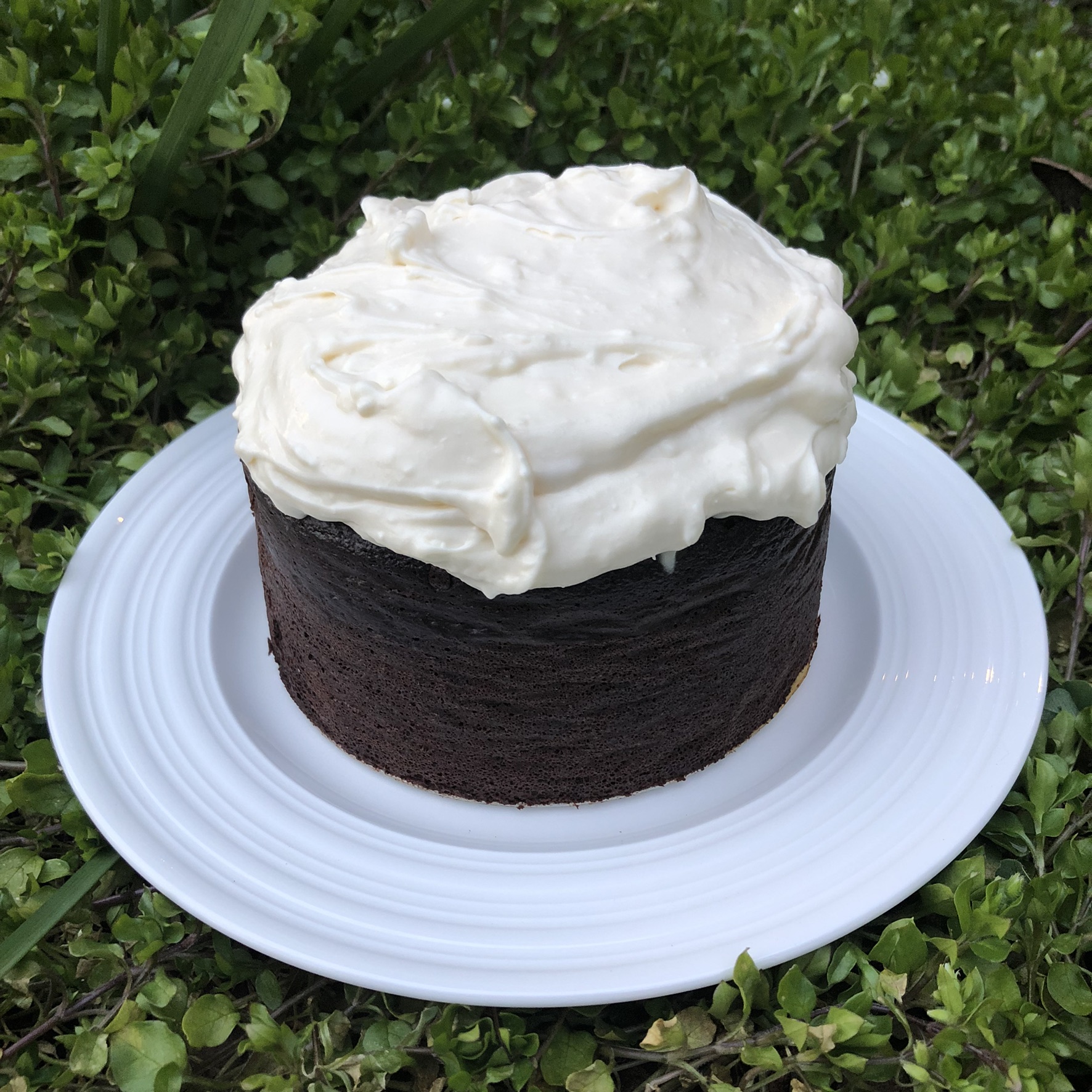 Guinness Cake for St. Patrick’s Day (grain free flours, no sugar)