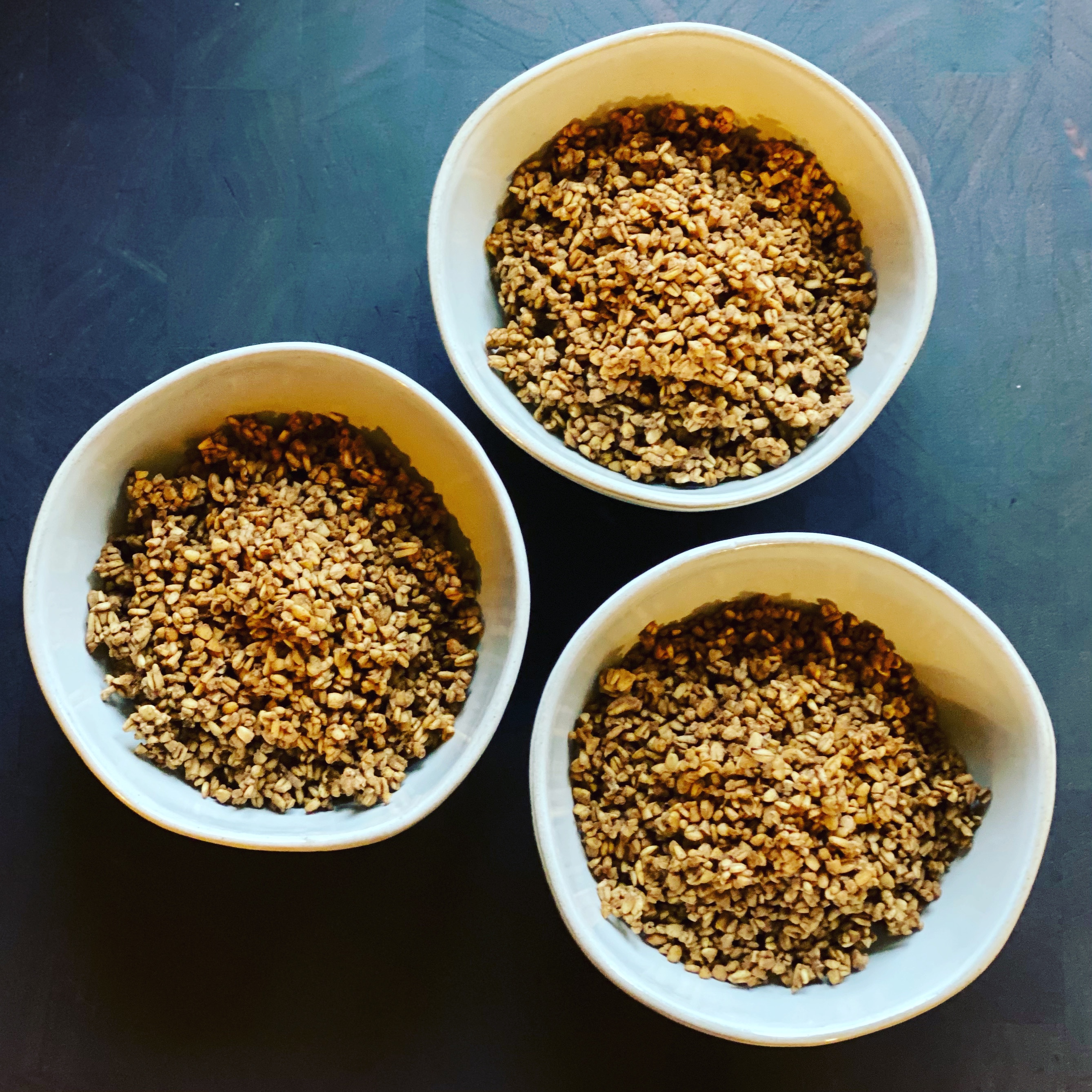 Probiotic Scottish Steel Cut Oat Granola In kids bowls